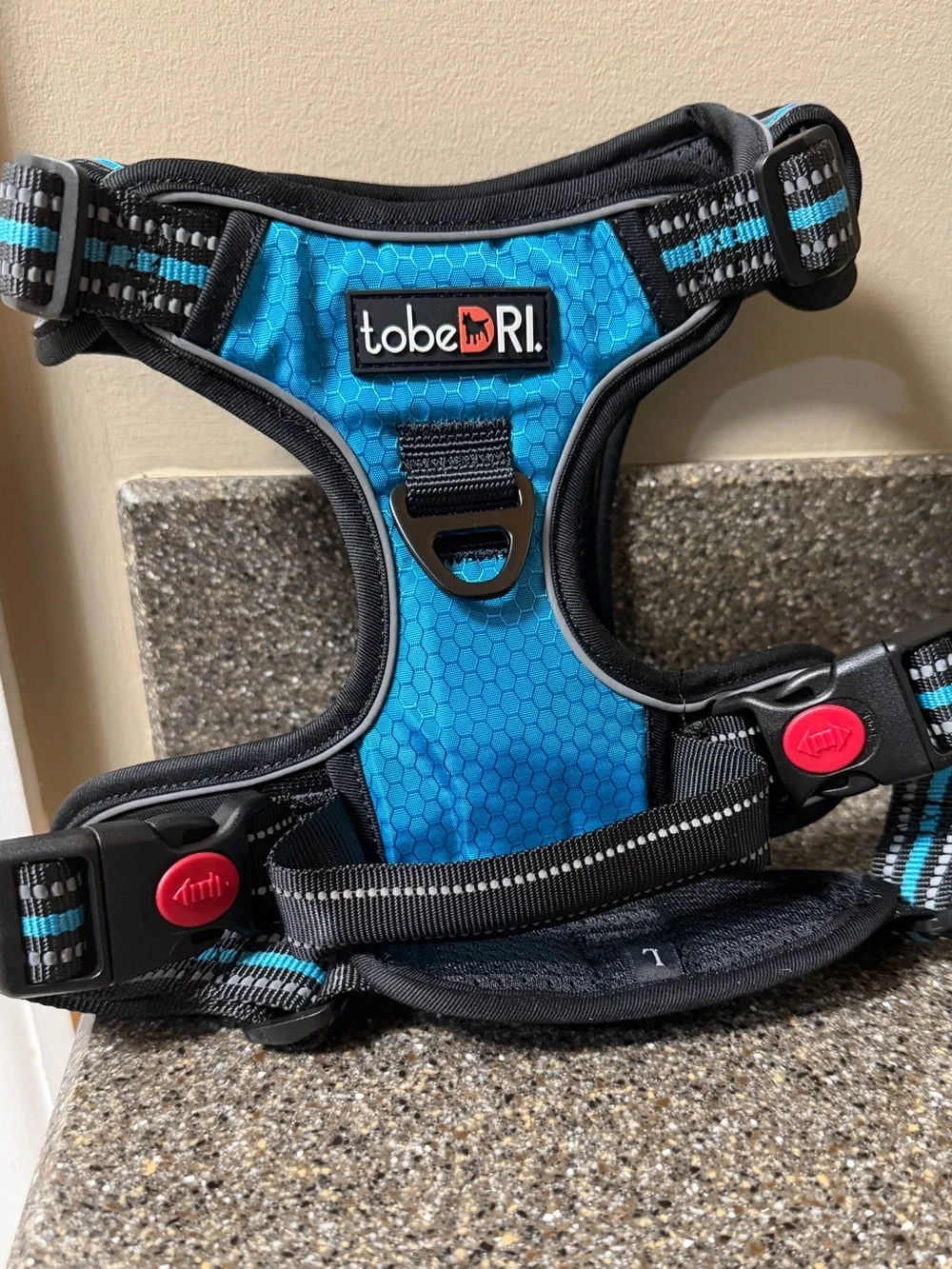 NWT no- pull Dog harness and leash (Large) in blue. Never used. 5 ft. Leash